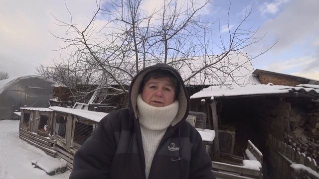 У якому віці можна брати кроленят руками.?? КРОЛІВНИЦТВО ДЛЯ ПОЧАТКІВЦІВ. смотреть онлайн