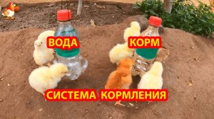 Кормушка и поилка для маленьких цыплят на скорую руку за 5 минут 🐥🐤🐥