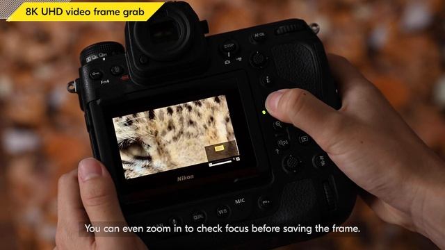 Z 9 Quick Look: Easy in-camera image grab from 8K video footage смотреть онлайн