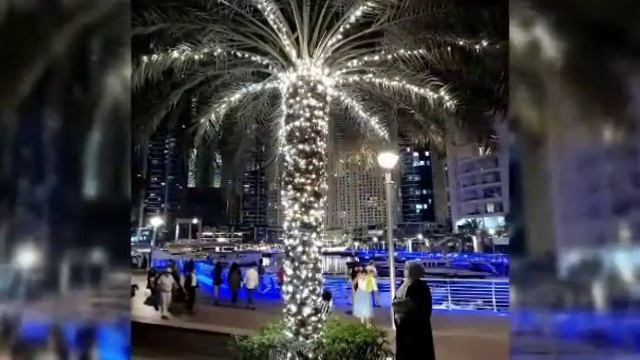 Путешествие в Дубай c Marine Health Group смотреть онлайн