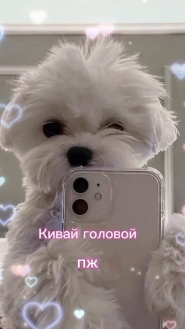 #kpop #топ #видиомоё #залетит смотреть онлайн