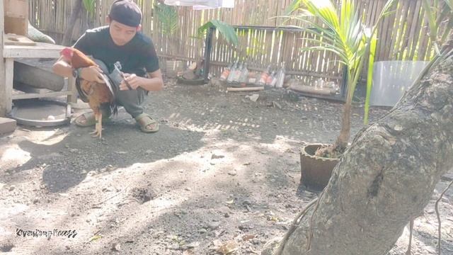 Drone propeller problem.? cheap solution is here.(sand in my drone) |tagalog смотреть онлайн