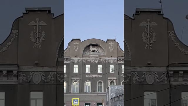 МЫ ШЛИ 5 ЧАСОВ! смотреть онлайн