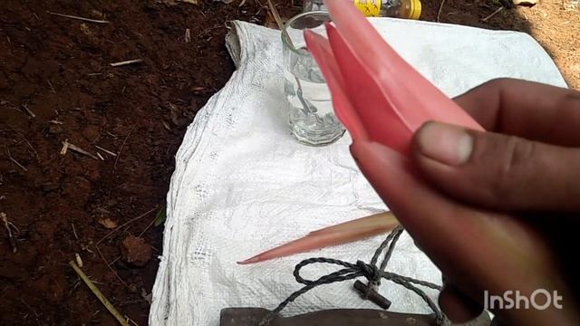 ternak kambing, cara membuat ramuan untuk kambing sehabis keguguran смотреть онлайн