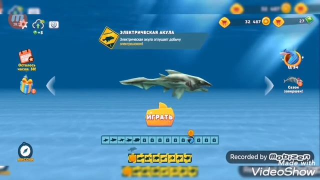 КУПИЛ БОЛЬШУЮ БЕЛУЮ АКУЛУ🦈 смотреть онлайн