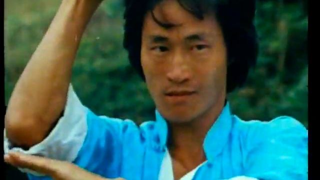 Snake In The Monkey's Shadow pt.4 смотреть онлайн