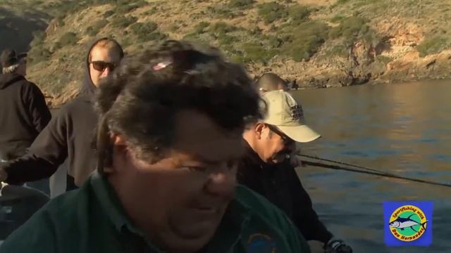 Big Halibut on Bucktail | SPORT FISHING смотреть онлайн