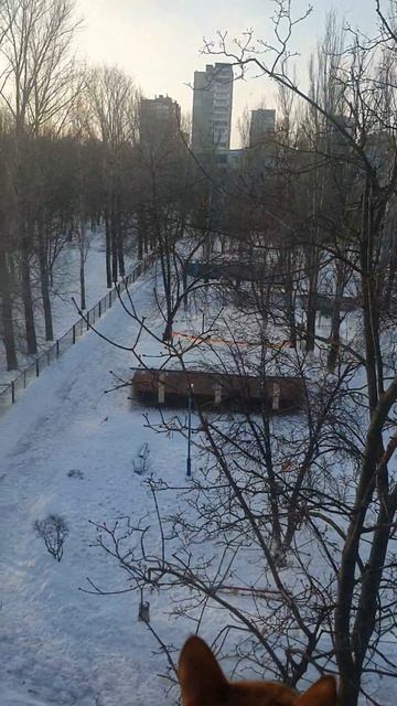 ПОГОДА В ТОЛЬЯТТИ смотреть онлайн