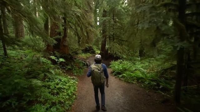 Realme X50 Lite ( X50 Youth ) 5G, Quad Camera, 5000 mah Battery | Realme X50 Youth смотреть онлайн