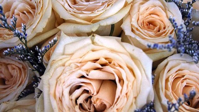 Хорошие русские хиты музыки и видео 2015 смотреть онлайн