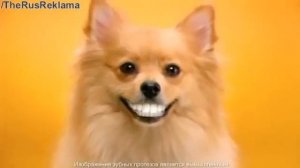 Реклама Педигри Дента Стикс - "Собаки-Улыбаки"