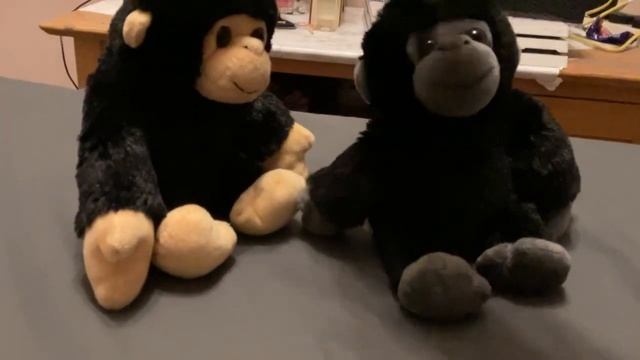 Koba and Charlie sings About Poo Meme. смотреть онлайн