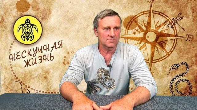 Общаемся с подписчиками. смотреть онлайн