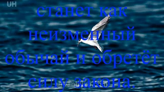 Виктор кан 26 Кодекс Юрис Каноничи смотреть онлайн