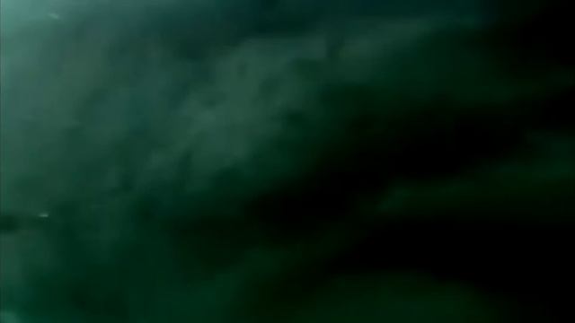 БОЛЬШАЯ БЕЛАЯ АКУЛА УКУСИЛА смотреть онлайн