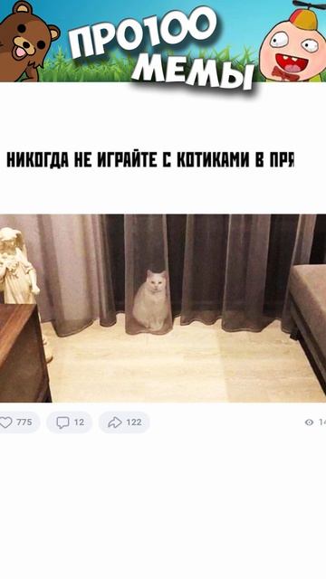 #мемы #мем #мемы2022 #юмор #приколы #лютыеприколы #котики #кошки #смешныекоты #кот смотреть онлайн