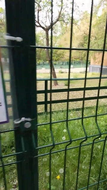 зоопарк Ростов на Дону часть 5 смотреть онлайн