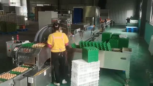 Manual Apatow смотреть онлайн