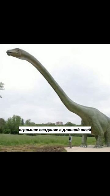 Интересные факты про динозавров #shorts смотреть онлайн