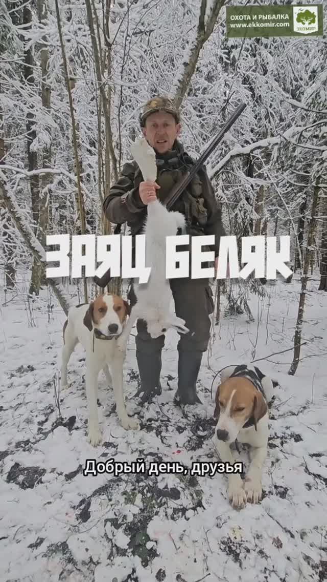 О беляке. +18 смотреть онлайн