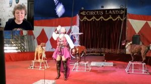 Стрим: современные цирки-шапито и их номера с животными. Особенности, секреты, любовь зрителей