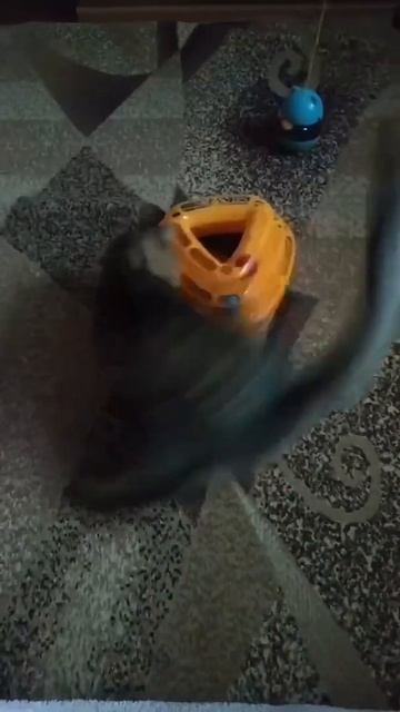 Игрушка для кота Tрек с тремя уровнями треугольная пластиковая 20x15 см смотреть онлайн