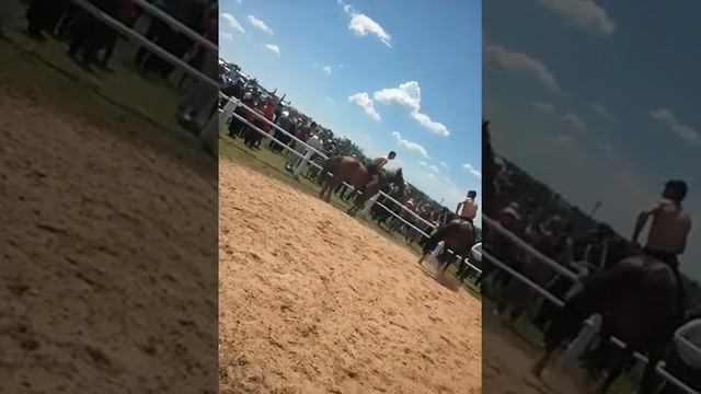 Драки верхом на лошадях смотреть онлайн