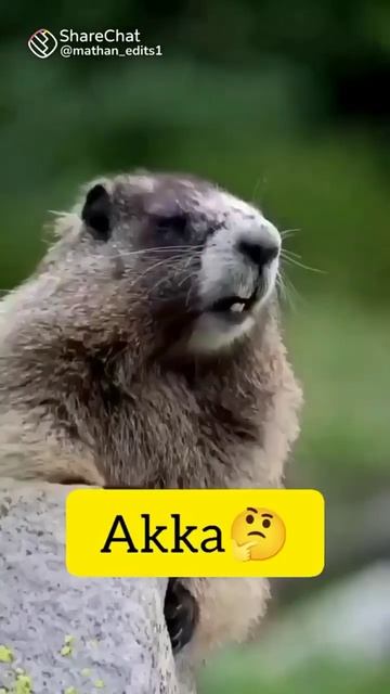 April 14, 2023 смотреть онлайн