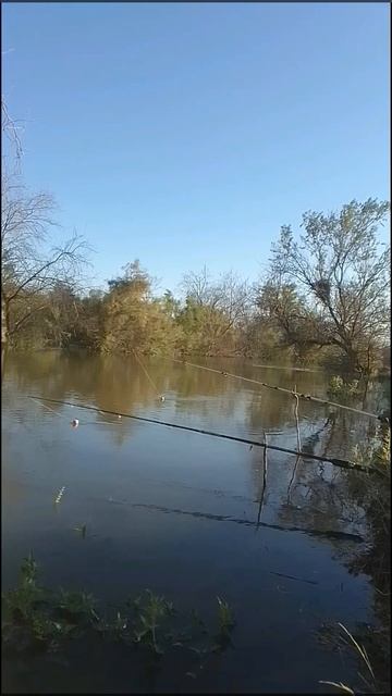 ловля рыбы на речке. смотреть онлайн