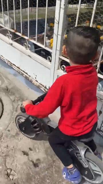 Ahora si VÁMONOS EN mi BICICLETA #larin #alfredolarin #bicicleta #shorts #shortsfeed #funny #love смотреть онлайн