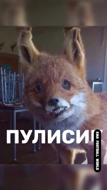 Девушка Читает имена футболистов🤣 #football #messi #soccer #ronaldo #footballshorts #neymar #shorts смотреть онлайн