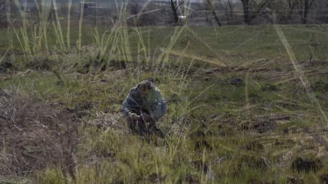 Hyla orientalis, Східна (звичайна) квакша, Восточная (обыкновенная) квакша, смотреть онлайн