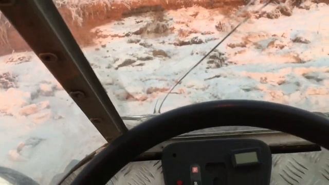 Выгулял коня! смотреть онлайн