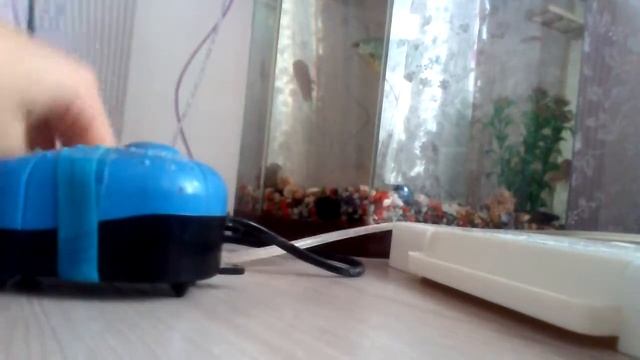 Что нужно для содержание рыб? смотреть онлайн