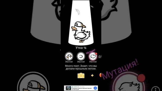 уточки в ванной смотреть онлайн