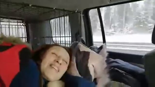 За Кирой 4 смотреть онлайн