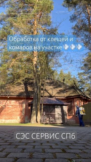 Обработка от клещей и комаров на участке в Ленинградской области смотреть онлайн