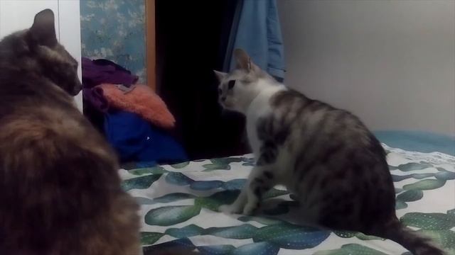 От любви до...часть 2 смотреть онлайн