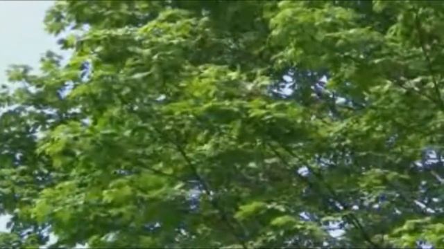 Татьяна Куртукова - "Матушка" смотреть онлайн