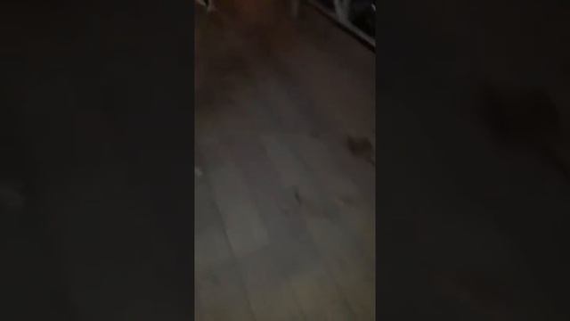 Стрельба на Вишняках смотреть онлайн