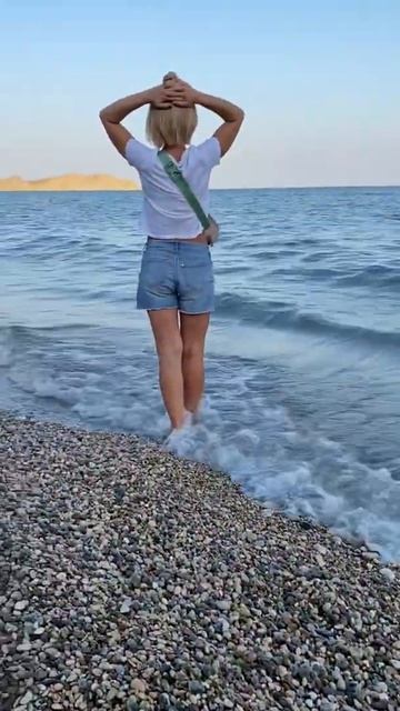 Завораживающий хамелеон из Коктебеля смотреть онлайн