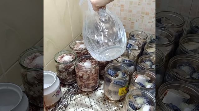 № 289 - Рыбные консервы из скумбрии. смотреть онлайн