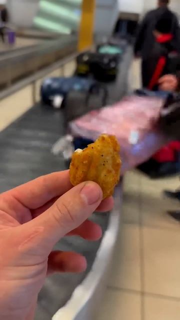 😌 #dog #doberman #собака #доберман смотреть онлайн