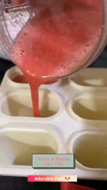 Happy Summer Mood 🐶🍨😍 #shorts #doglovers смотреть онлайн