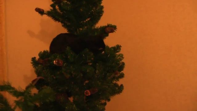 Любимая игрушка кота смотреть онлайн