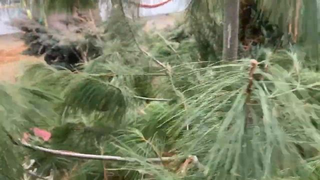 Небольшая прогулка с маленькими хвостиками. смотреть онлайн