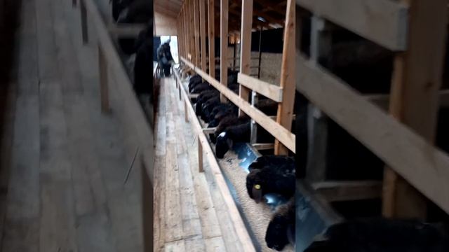 31 октября 2022 г. смотреть онлайн