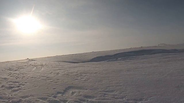 Охота на зайца. смотреть онлайн