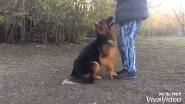 Романдо Грандж Трикси смотреть онлайн