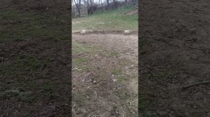 Фермы из арматуры для теплицы 2024 г.